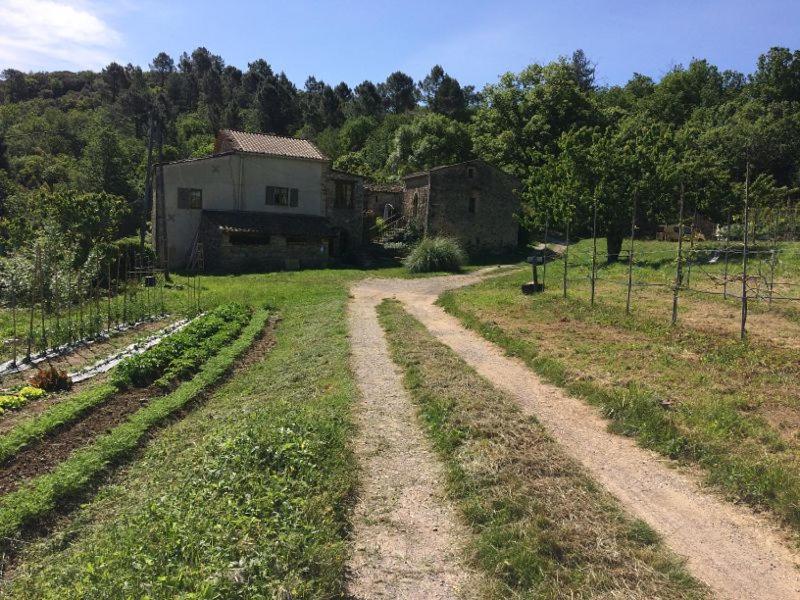 Deux Chambres D Hotes Attenantes Avec Salon Salle A Manger Privatif En Cevennes Gardoises แซ็ง-ฌอง-ดู-การ์ ภายนอก รูปภาพ